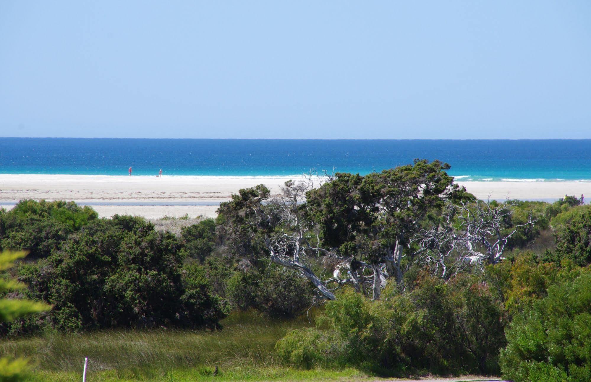 Surfside Ocean Beach Denmark Holiday Accommodation Eksteriør bilde